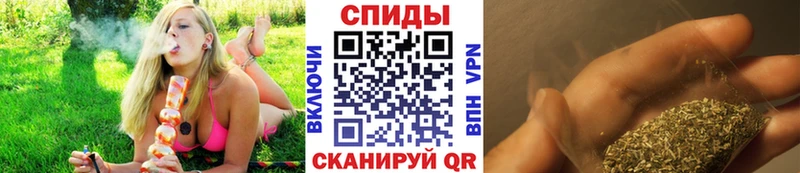 Купить закладки  Новозыбков  БУТИРАТ Butirat 