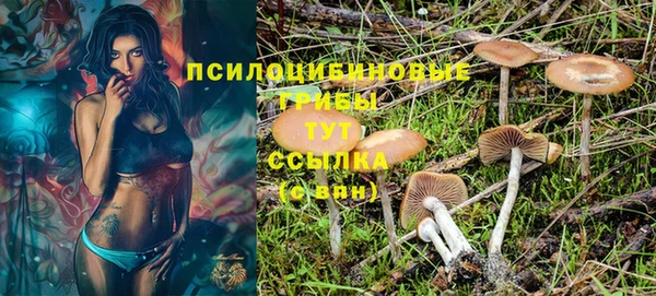 мет Баксан