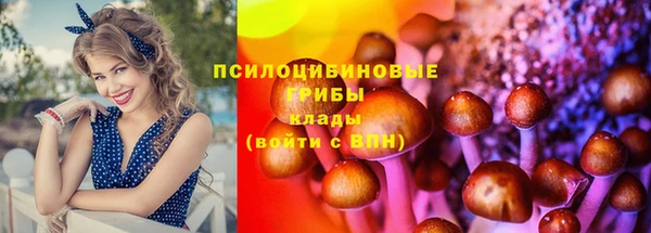мет Баксан
