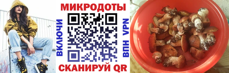 Псилоцибиновые грибы мухоморы  Купить где  Новозыбков 