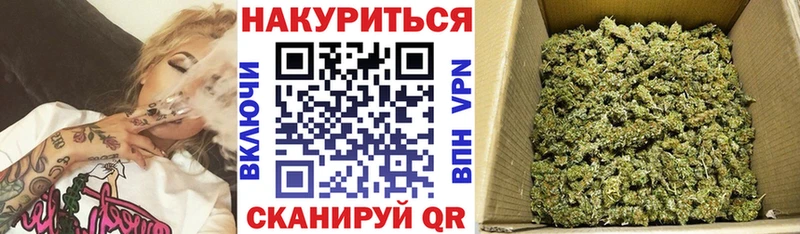 Конопля White Widow  Купить где  Новозыбков 